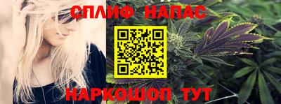 прущие грибы Ливны