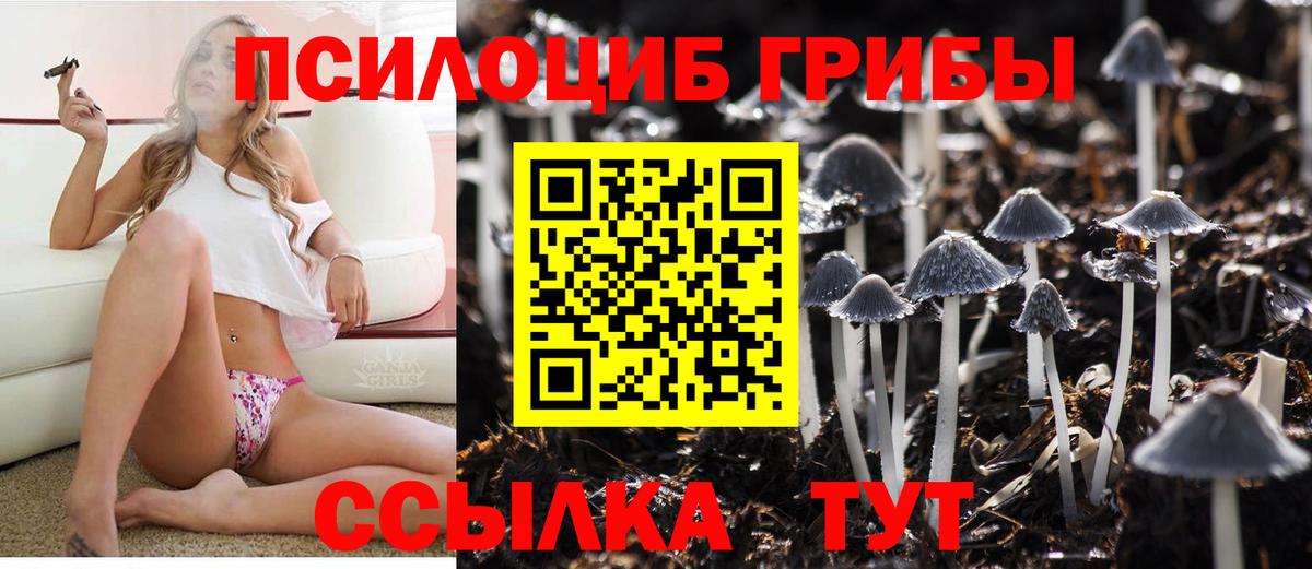 Галлюциногенные грибы Cubensis  Вход с VPN  магазин  наркотиков  Ивантеевка  Псилоцибиновые грибы Psilocybe 