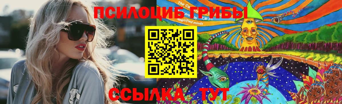 Псилоцибиновые грибы Cubensis Ивантеевка